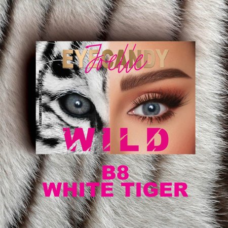 Eyecandy Wild B8 White Tiger-عدسات جويل أيكاندي وايلد