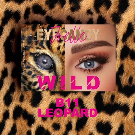 Eyecandy Wild B11 Leopoard-عدسات جويل أيكاندي وايلد